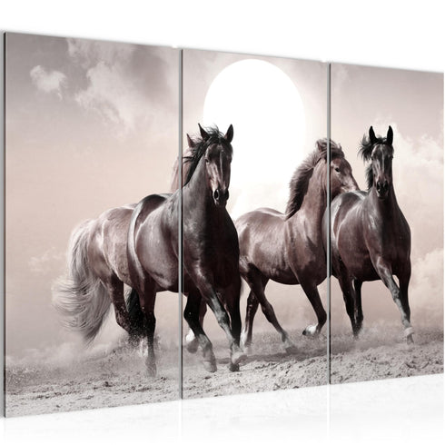 Wandbilder Wohnzimmer XXL Pferde Moderne Bilder Tiere